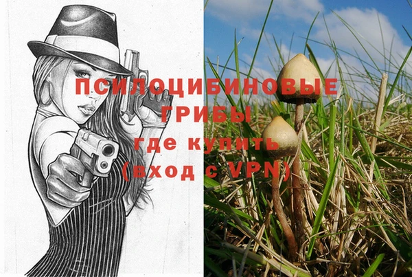 индика Алексеевка
