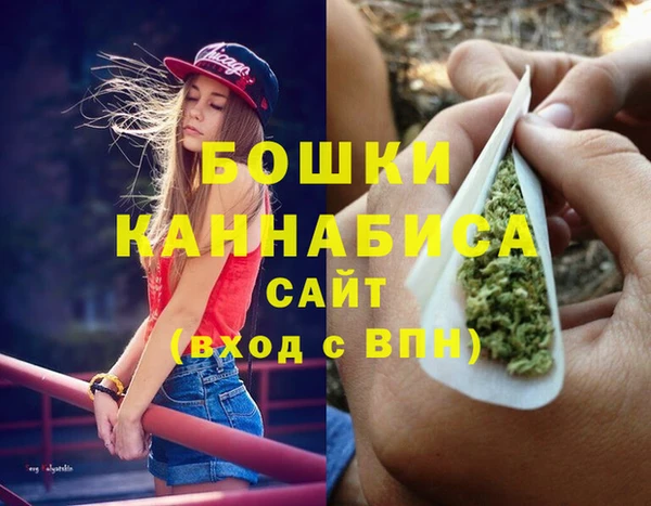 индика Алексеевка