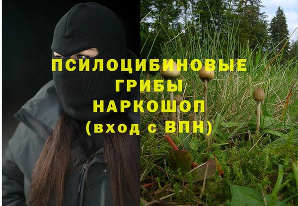 прущая мука Алзамай