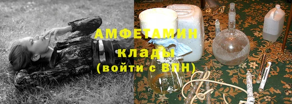 индика Алексеевка