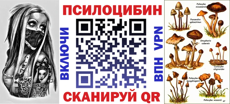 Псилоцибиновые грибы Magic Shrooms  Аргун 
