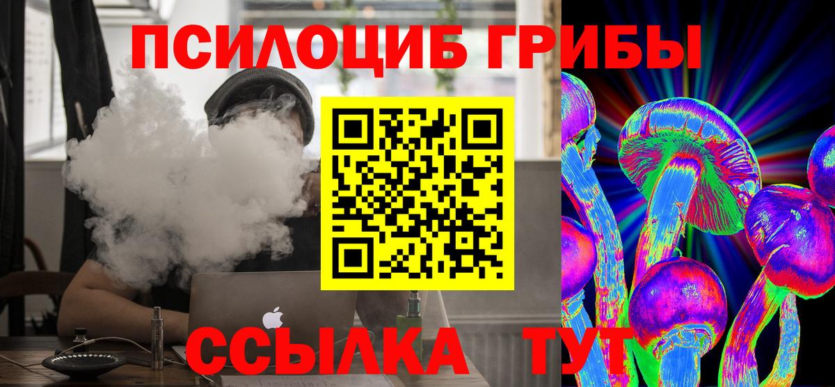 купить наркоту  Аргун  Галлюциногенные грибы Magic Shrooms  Галлюциногенные грибы Cubensis 