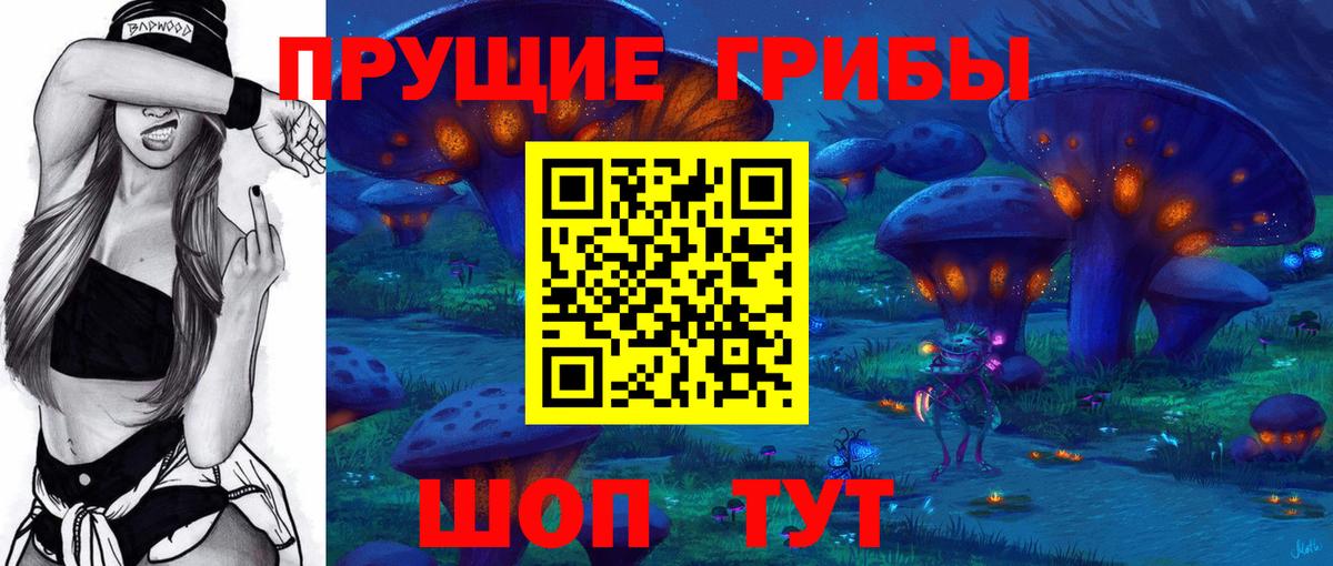 Галлюциногенные грибы Psilocybine cubensis Аргун