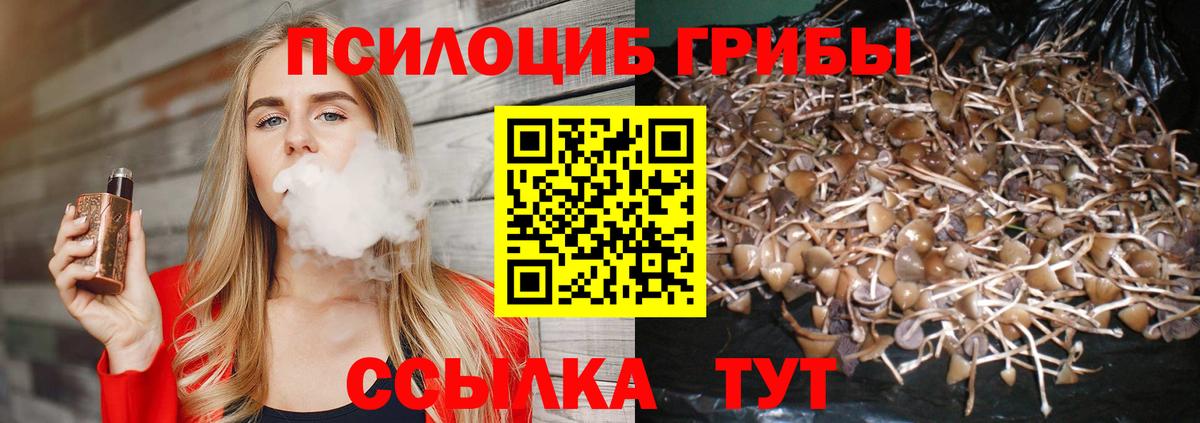 закладка  Вход с VPN  Аргун  Псилоцибиновые грибы мухоморы 